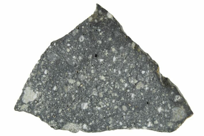 Polished Lunar Meteorite ( g) Slice - Aridal #360165